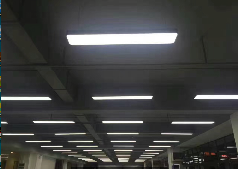 ���ό��֘�